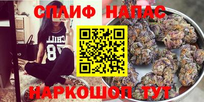 меф Краснознаменск
