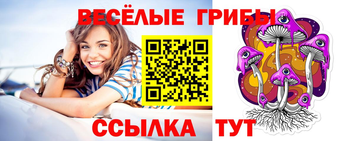 Гусь-Хрустальный  Галлюциногенные грибы мицелий  Вход с VPN  Галлюциногенные грибы GOLDEN TEACHER 